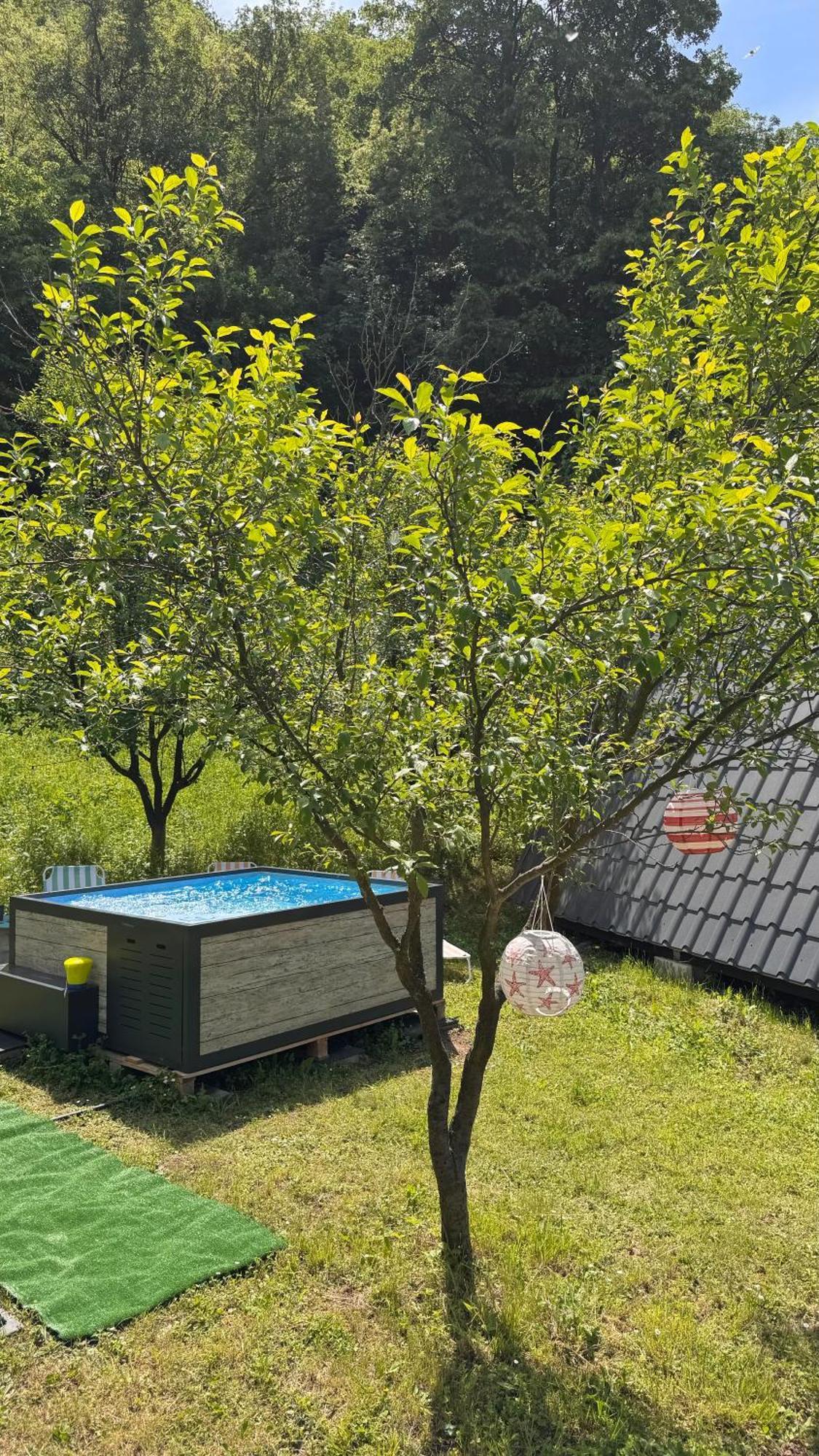 Cabane A-Frame Svinita Eksteriør bilde